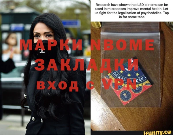 шишки Гусев