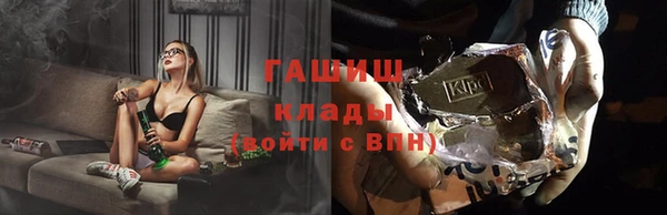 шишки Гусев