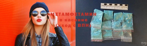 шишки Гусев
