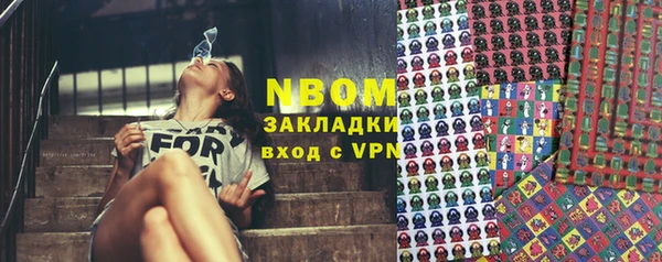 шишки Гусев