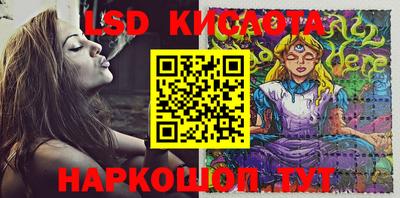 сатива Новозыбков