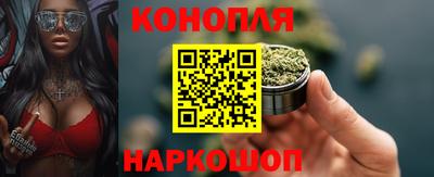 спиды Новодвинск