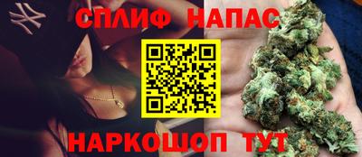 амф Дубна