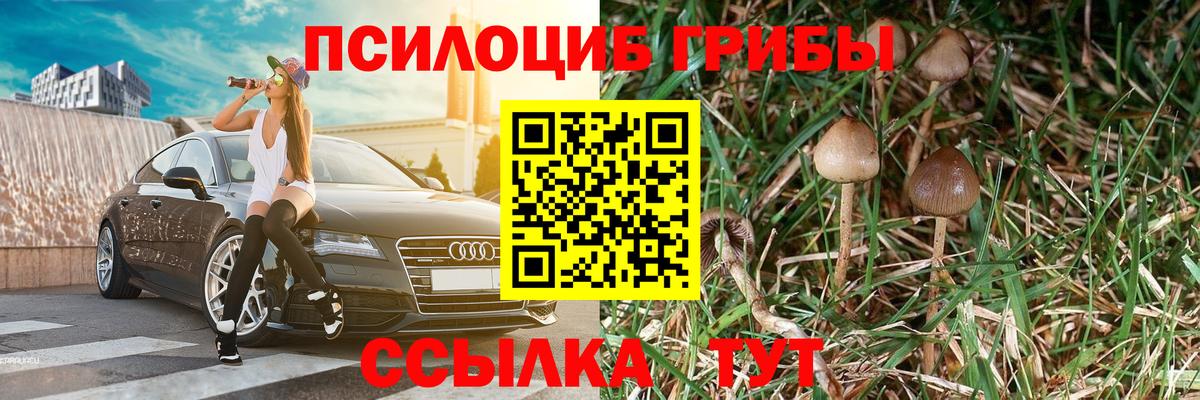 Галлюциногенные грибы ЛСД  Псилоцибиновые грибы GOLDEN TEACHER  Красноярск  Вход с VPN 